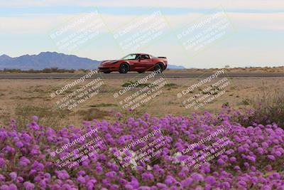 media/Jan-08-2023-SCCA SD (Sun) [[8f6a5b9391]]/Advanced Group/Session 2 (Short Straight)/